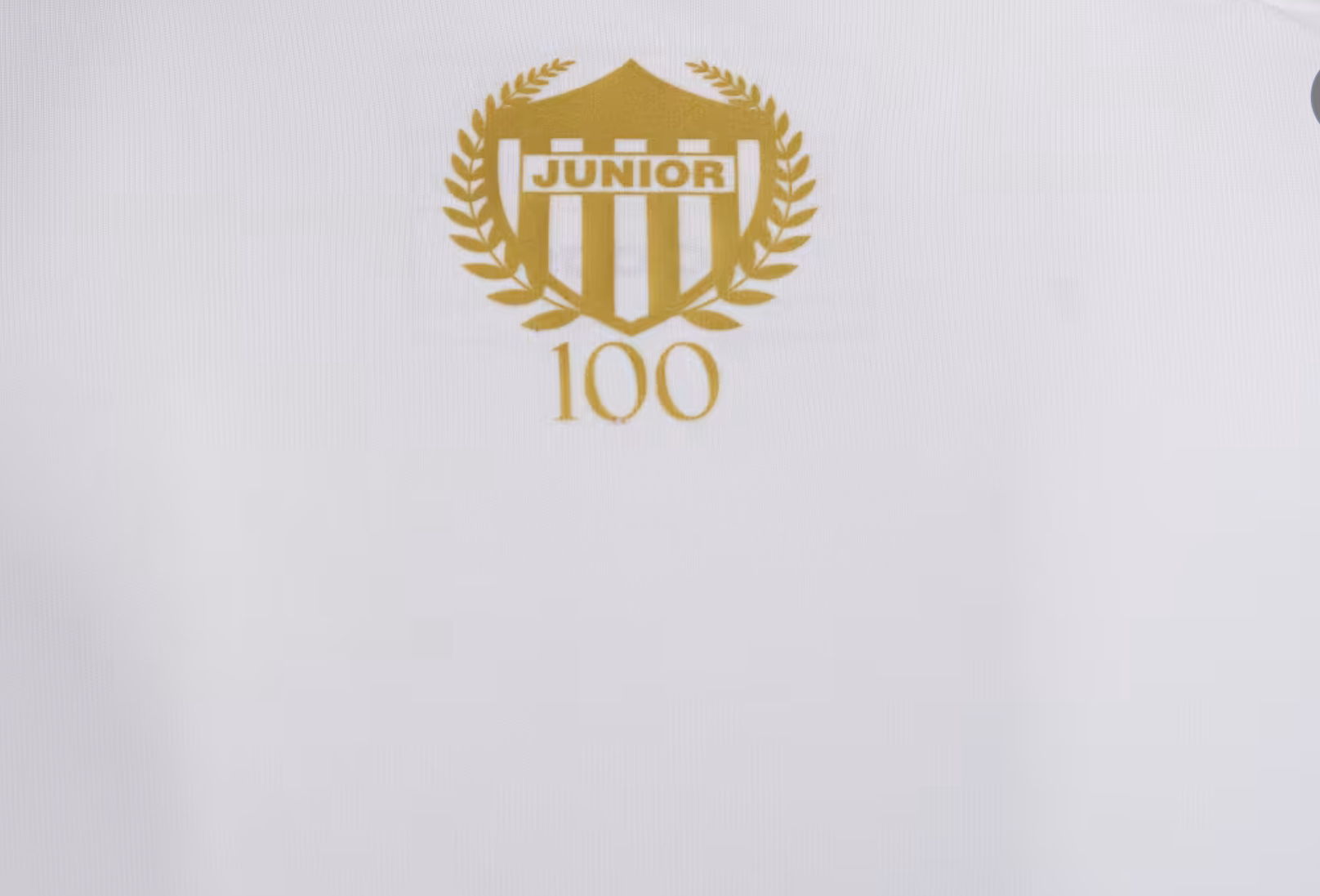 Junior 100 Años